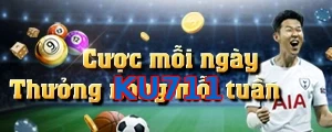 KU711